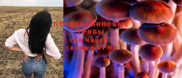крисы Арсеньев