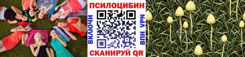 что такое Шарыпово Галлюциногенные грибы прущие грибы